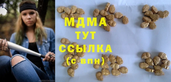стафф Ельня