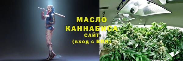 стафф Ельня