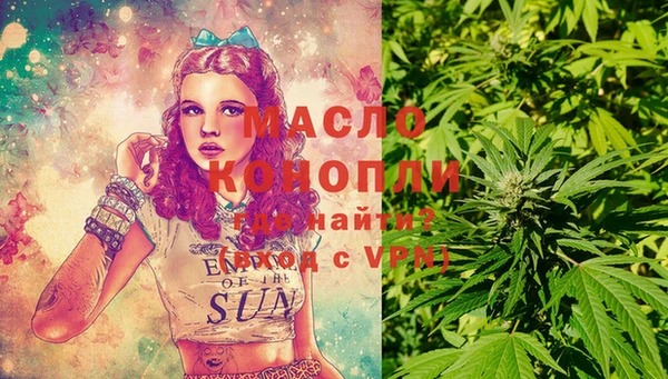 стафф Ельня