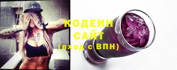гидра Елабуга