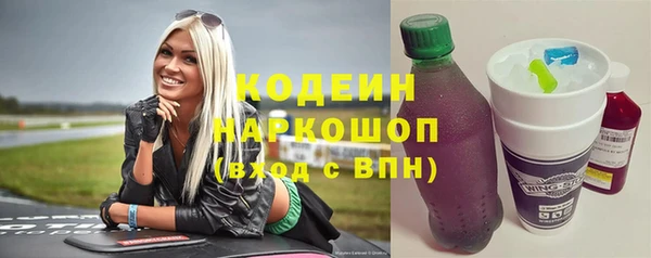 стафф Ельня