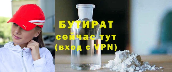 гидра Елабуга
