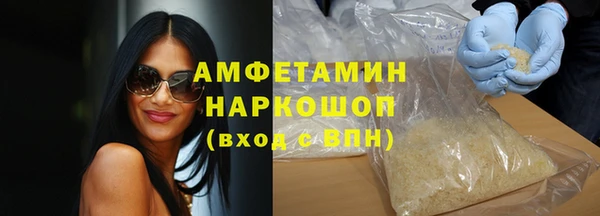 стафф Ельня