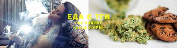 гидра Елабуга