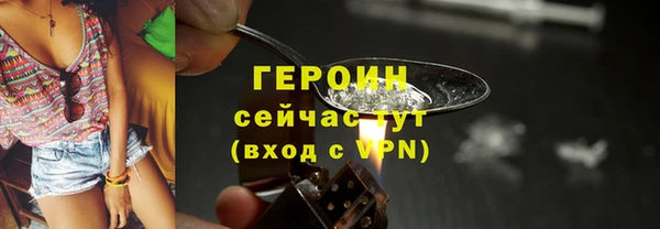 гидра Елабуга