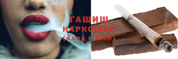 гидра Елабуга