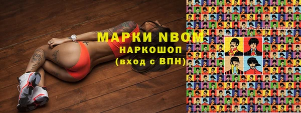 стафф Ельня