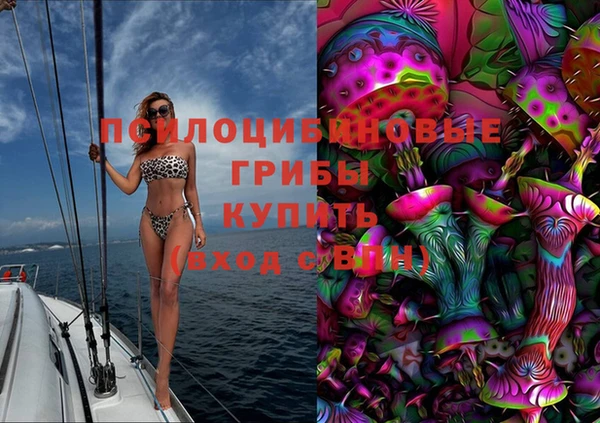 гидра Елабуга