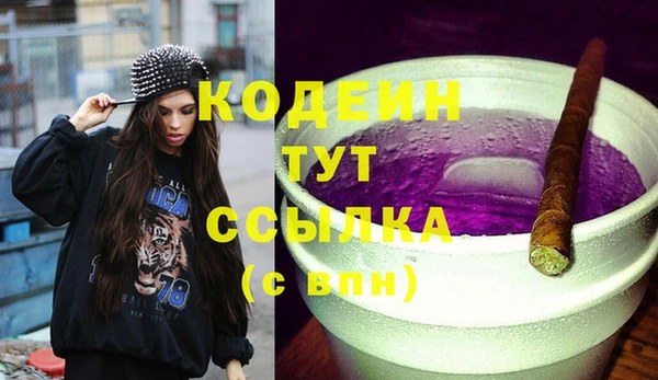 стафф Ельня