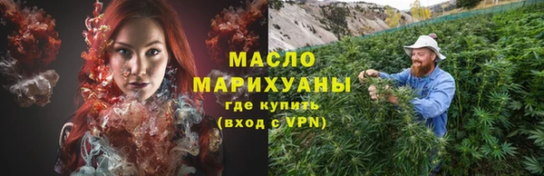 гидра Елабуга