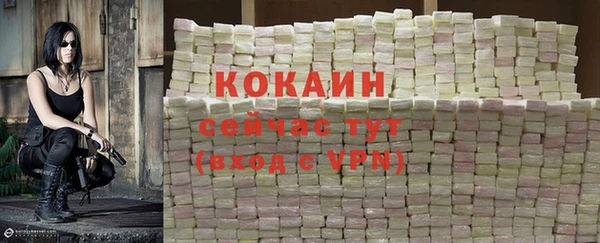 гидра Елабуга