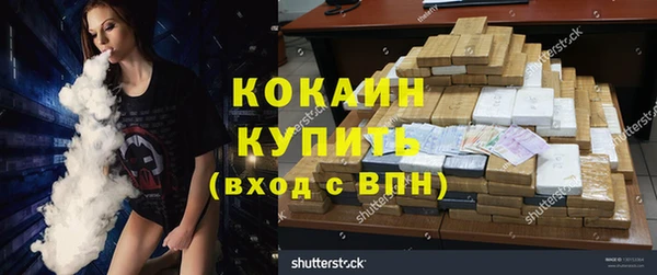 стафф Ельня