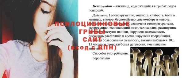 гидропоника Елизово