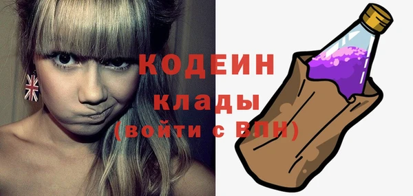 стафф Ельня