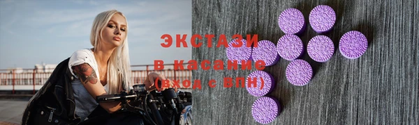 гидра Елабуга