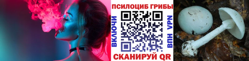 Галлюциногенные грибы ЛСД  мега как зайти  Иннополис  купить  цена 